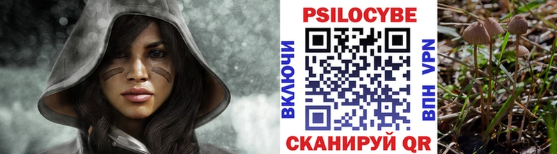 KRAKEN онион  Куса  Псилоцибиновые грибы Psilocybine cubensis 